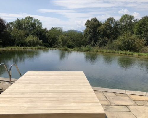 4FD6EE6D-1F05-4E07-89B8-C3FAADF2D749_1_105_c-650x650